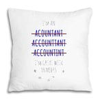 Accountant Pillows