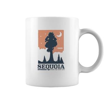 California Sequoia National Park Lovers Gift Coffee Mug | Mazezy
