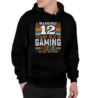12 Years Old In Gaming Mode Do Not Disturb Video Gamer Hoodie - Seseable