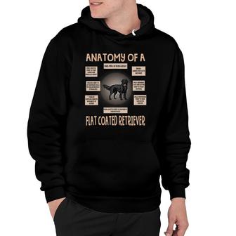 Anatomy Of A Flat Coated Retriever Funny Puppy Gift Hoodie | Mazezy