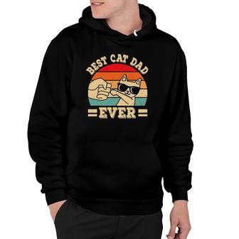 Best Cat Dad Ever Funny Cat Lover Retro Hoodie - Seseable