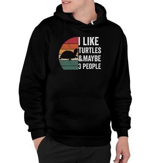 I Like Turtles & Maybe 3 People Turtle Owner Apparel Hoodie - Seseable