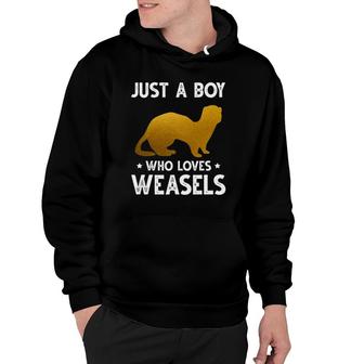Just A Boy Who Loves Weaselscute Animals Lovers Hoodie | Mazezy AU