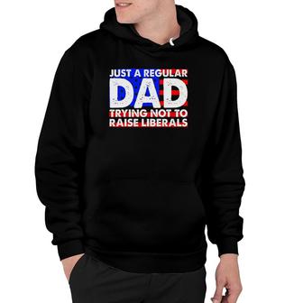 Just A Regular Dad Trying Not To Raise Liberals America Flag Hoodie - Seseable