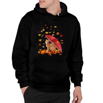 Maple Cat And Umbrella Leaf Fall Hello Autumn Bicycle Gift Hoodie