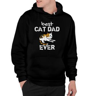 Mens Awesome Best Cat Dad Ever Mens Cat Lover Hoodie - Seseable