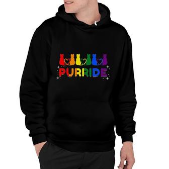 Purride Rainbow Colors Cat Animal Funny LGBT Pride Gift Hoodie | Seseable CA