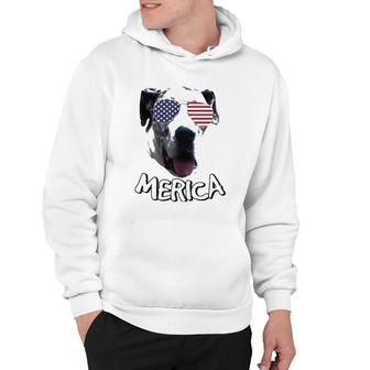 Great Dane Independence Day 4Th Of July Hoodie - Seseable