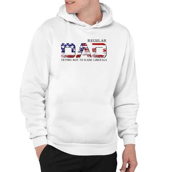 Just A Regular Dad Trying Not To Raise Liberals Funny Daddy Hoodie - Seseable