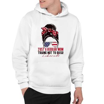Just A Regular Mom Trying Not To Raise Liberals Republican Hoodie - Seseable