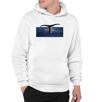 Whale Tail - Ocean Lovers Gift Hoodie | Mazezy