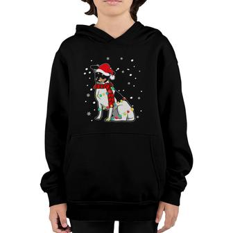 Cute Christmas Rat Terrier Dog Lights Youth Hoodie | Mazezy