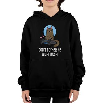 Dont Bother Me Right Meow - Funny Video Gamer & Cat Lover Youth Hoodie - Seseable