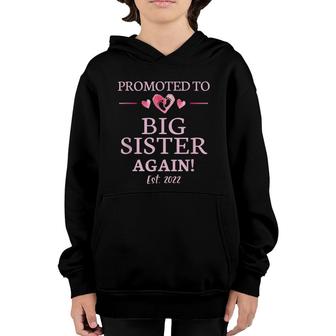 Promoted To Big Sister Again 2022 Big Sister Again Youth Hoodie - Seseable