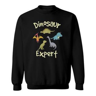 Dinosaur For Kids - Dinosaur Expert Boys And Girls Sweatshirt | Mazezy