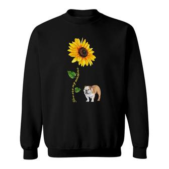 English Bulldog You Are My Sunshine Sunflower Sweatshirt | Mazezy