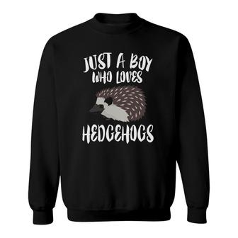 Just A Boy Who Loves Hedgehogs Owner Lover Gift Sweatshirt | Mazezy