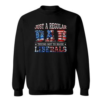 Just A Regular Dad Trying Not To Raise Liberals American Flag Colors Sweatshirt - Seseable
