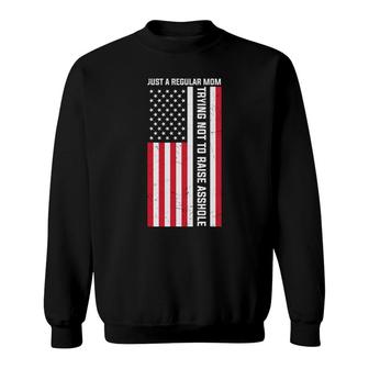 Just A Regular Mom Trying Flag Great Gift Sweatshirt - Seseable