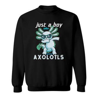 Kawaii Dabbing Just A Boy Who Loves Axolotls Kids & Boys Sweatshirt | Mazezy