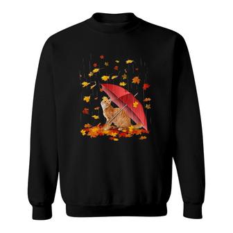 Maple Cat And Umbrella Leaf Fall Hello Autumn Bicycle Gift Sweatshirt | Mazezy