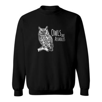 Owls Are Assholes Sweatshirt - Monsterry