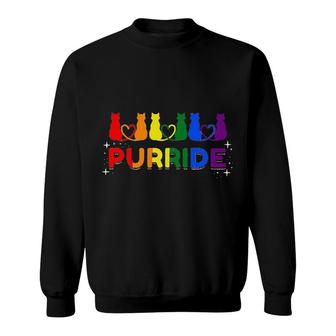 Purride Rainbow Colors Cat Animal Funny LGBT Pride Gift Sweatshirt - Seseable