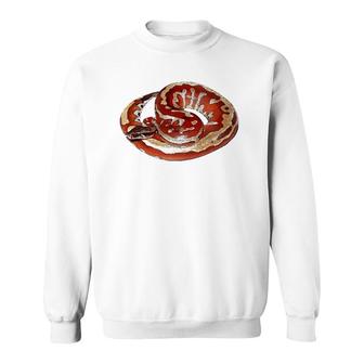 Gorgeous Snake Herpetologist Gift Red Blood Python Sweatshirt | Mazezy