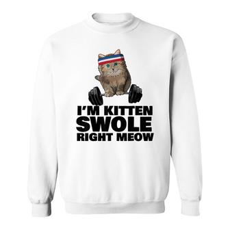 Kitten Swole Right Meow Gym Workout Cat Swole Right Meow Sweatshirt - Seseable