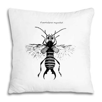 Common European Earwig Entomology Tee Pillow | Mazezy