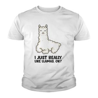 I Just Really Like Llamas Ok Cute Baby Llama Youth T-shirt - Thegiftio UK