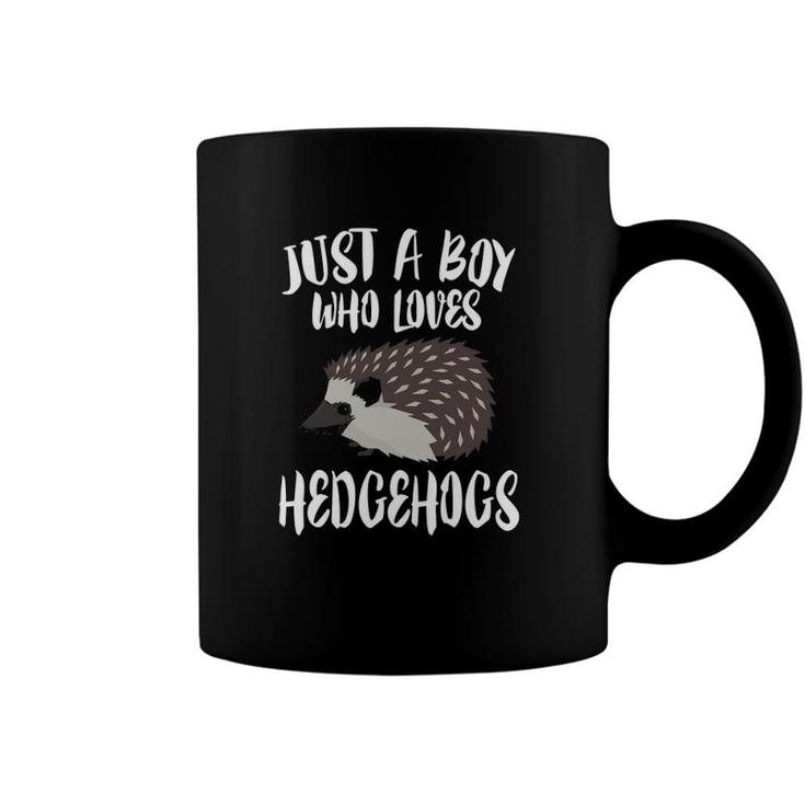 Just A Boy Who Loves Hedgehogs Owner Lover Gift Coffee Mug