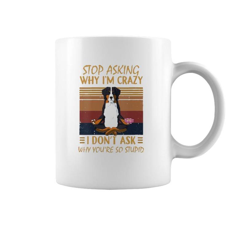 Womens Stop Asking Why Im Crazy -Youre So Stupid-Bernese Mountain V-Neck Coffee Mug