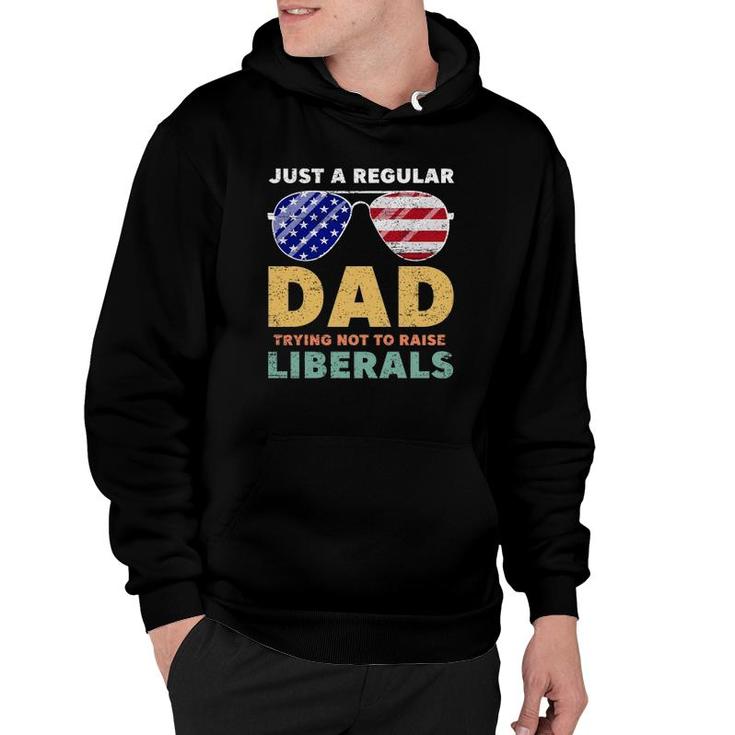 Just A Regular Dad Trying Not To Raise Liberals American Flag Sunglasses Republican Fathers Day Hoodie
