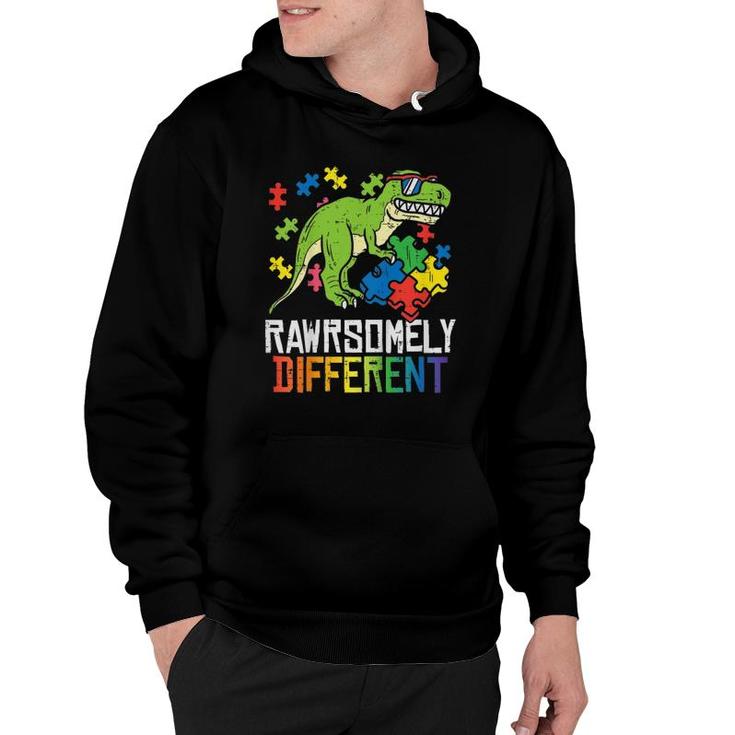 Kids Rawrsomely Different Trex Puzzle Boys Autism Awareness Boys Hoodie