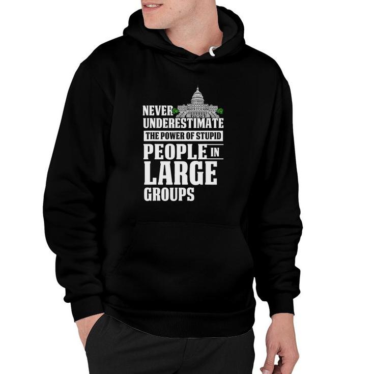 Never Underestimate Power Of Stupid People In Large Groups Hoodie
