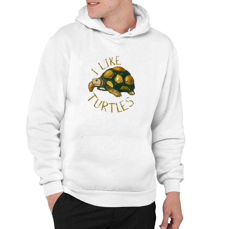 Funny Turtle Lover Gift Vintage I Like Turtles Hoodie