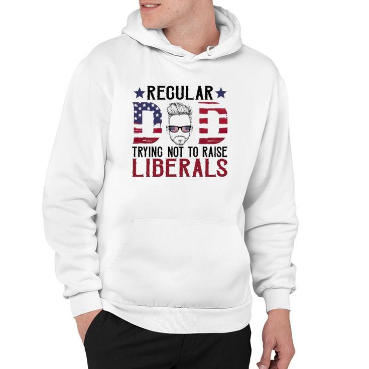 Just A Regular Dad Trying Not To Raise Liberals 4Th Of July Fathers Day Hoodie