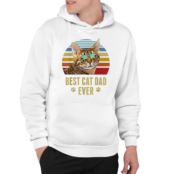 Ocicat Cat Best Cat Dad Ever Retro Beach Vibe Hoodie