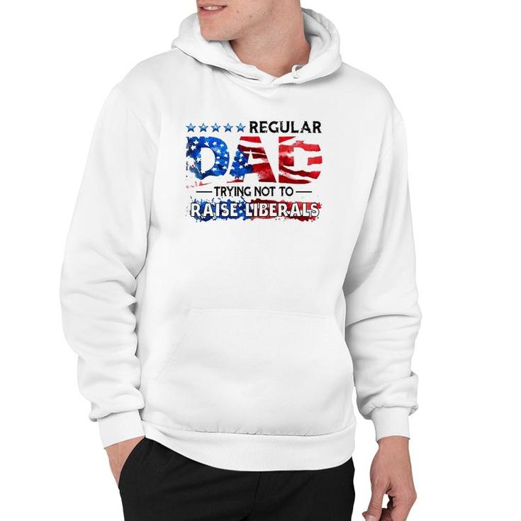 Regular Dad Trying Not To Raise Liberal Usa American Flag Republican Fathers Day Hoodie