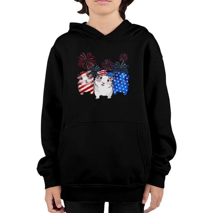 Guinea Pig American Flag 4Th Of July Firework Patriotic Usa Youth Hoodie