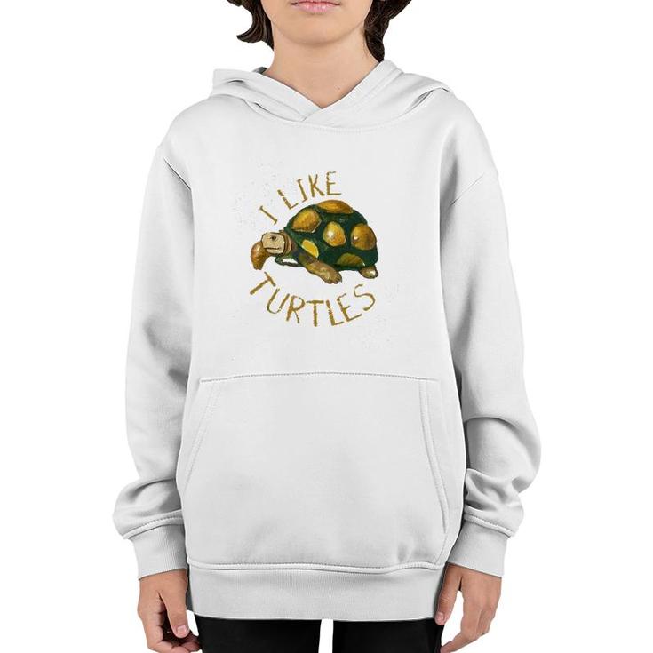 Funny Turtle Lover Gift Vintage I Like Turtles Youth Hoodie