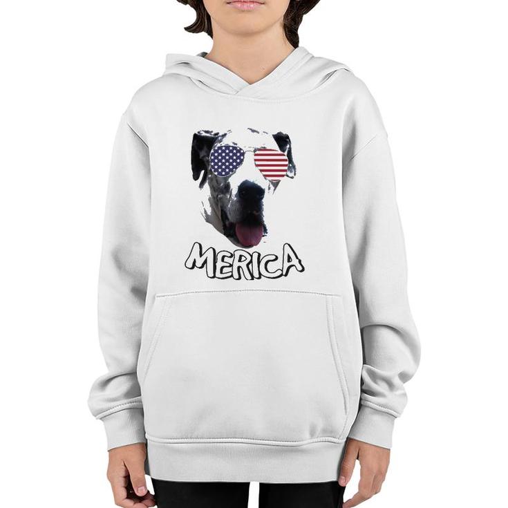 Great Dane Independence Day 4Th Of July Youth Hoodie
