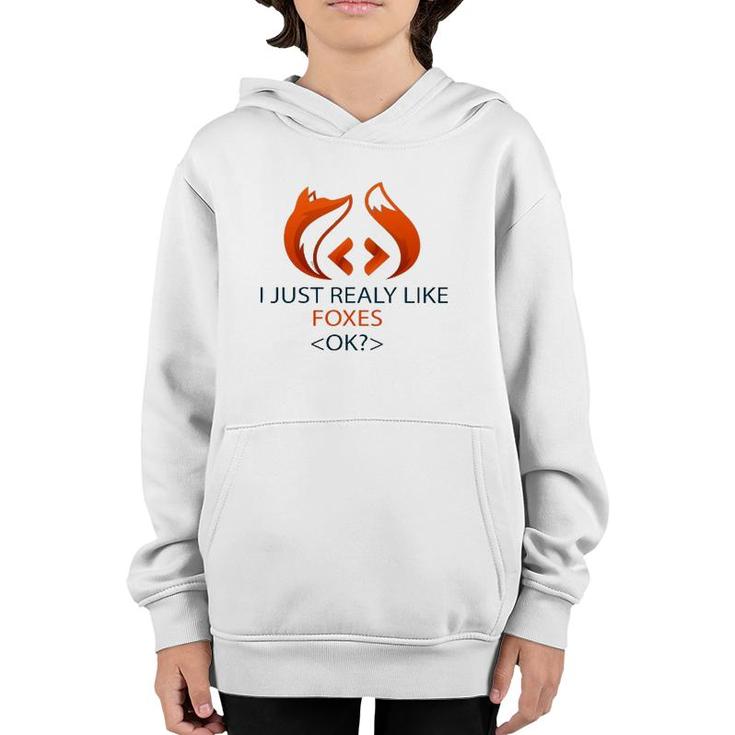 I Just Really Like Foxes Ok Funny Coders Design Youth Hoodie