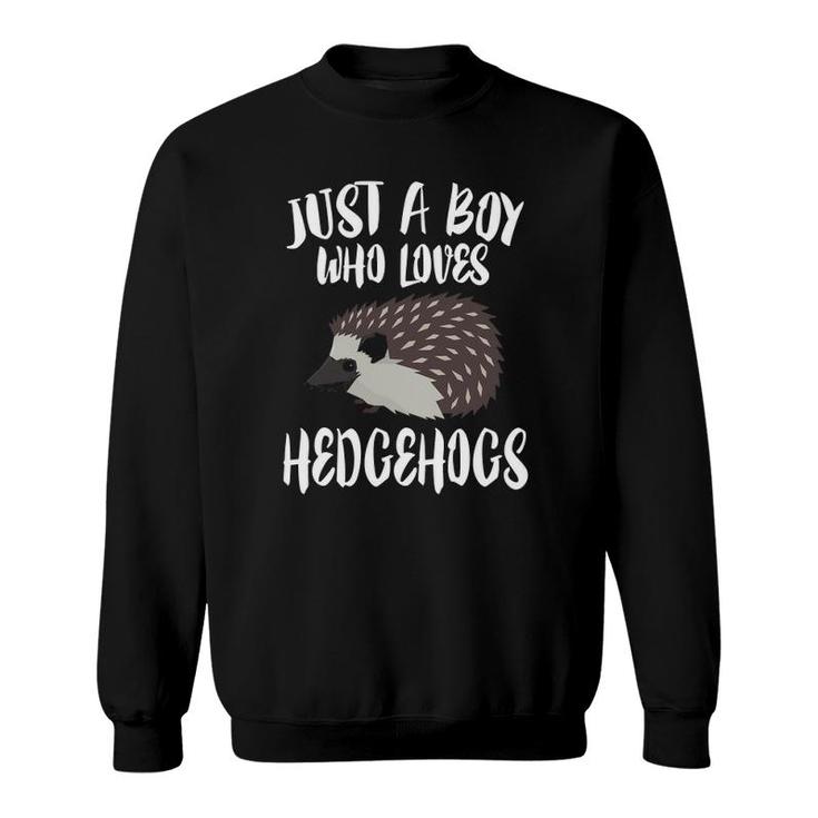 Just A Boy Who Loves Hedgehogs Owner Lover Gift Sweatshirt