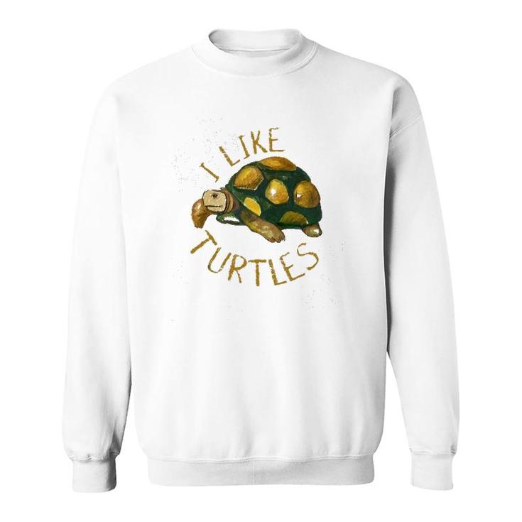 Funny Turtle Lover Gift Vintage I Like Turtles Sweatshirt