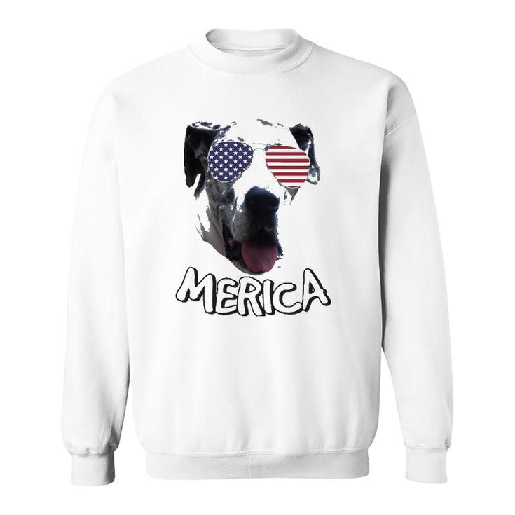 Great Dane Independence Day 4Th Of July Sweatshirt