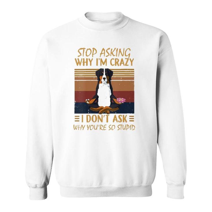 Womens Stop Asking Why Im Crazy -Youre So Stupid-Bernese Mountain V-Neck Sweatshirt